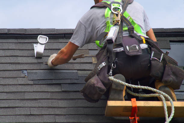 Best Roof Leak Repair  in Warrensburg, IL