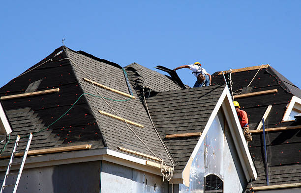 Best Roof Gutter Cleaning  in Warrensburg, IL
