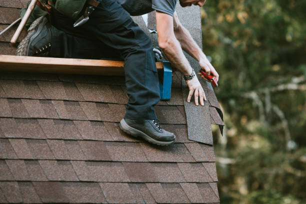 Best Roof Repair Services  in Warrensburg, IL